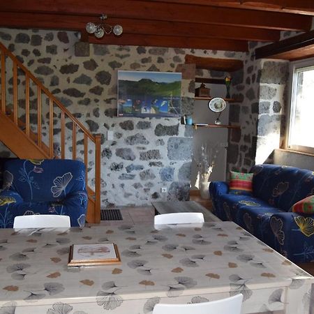 Gite 4 Personnes Dans Le Cantal Animaux Bienvenus Lascelle Bagian luar foto